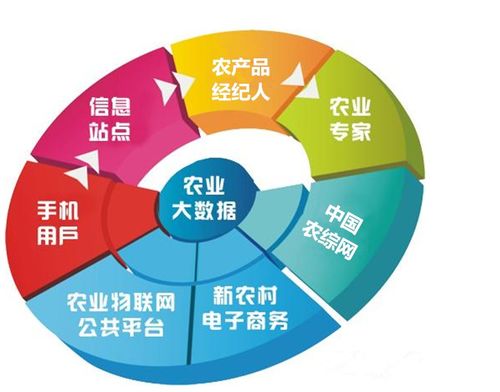 打造农业圈很重要,看看这些农人是怎样赚钱的