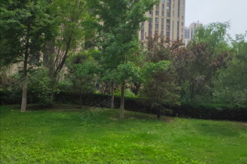 保利春天里优点 不足,保利春天里怎么样,保利春天里周边房产中介经纪人评价