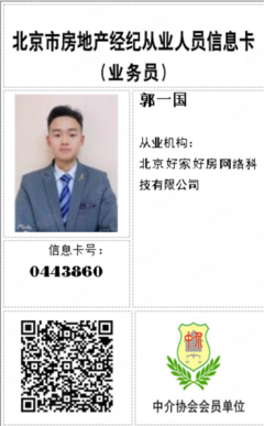(服务不只是一次)茂密丛林在脚下,前排没有遮挡